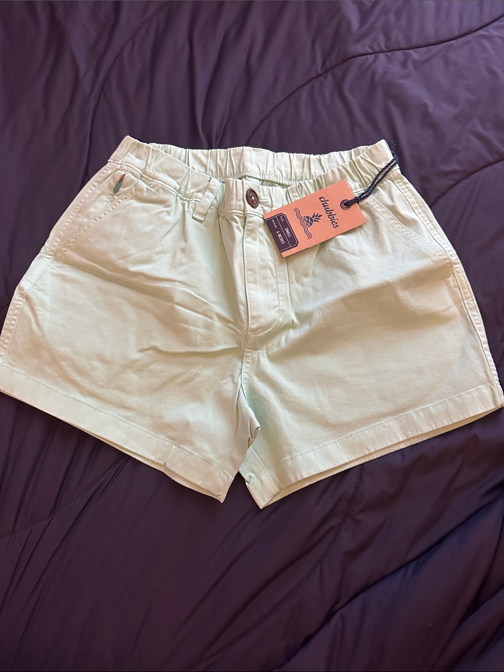 Chubbies Original Stretch Shorts (The Seafoam Glasses, 4”)